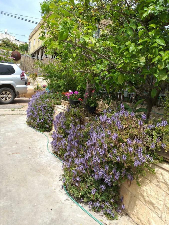 شقة Valentine House Deir Hanna المظهر الخارجي الصورة